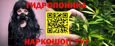 дмт Сланцы