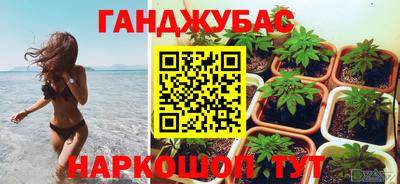 молекула духа Славгород