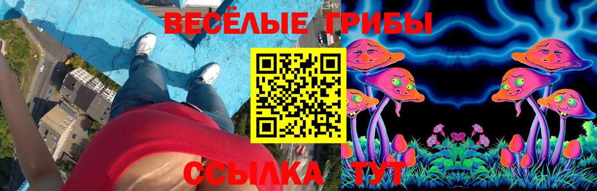 дарнет шоп  Галлюциногенные грибы Cubensis  Вход с VPN  Белово 